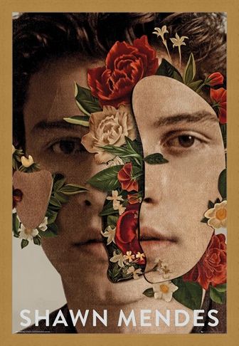Framed Framed Flowers - Shawn Mendes