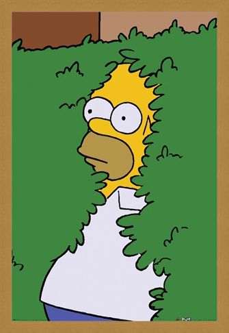 Framed Framed Homer Bush - The Simpsons