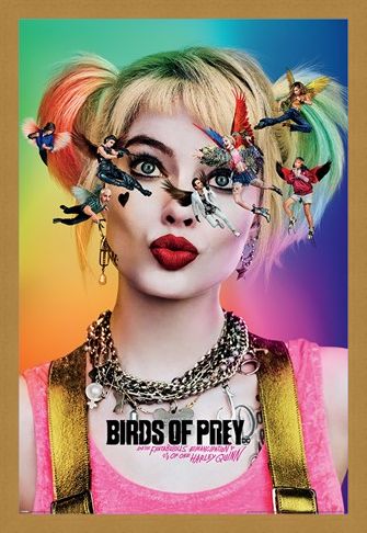 Framed Framed Seeing Stars - Birds Of Prey