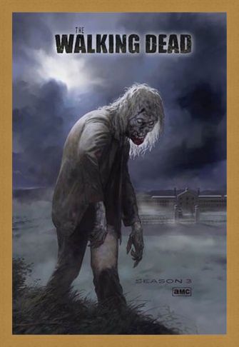 Framed Framed Flesh Eating Walker! - The Walking Dead