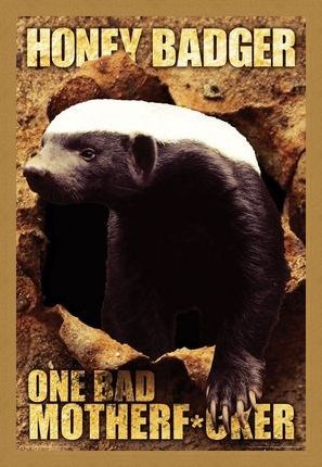 Framed Framed One Bad Mother F*cker - Honey Badger