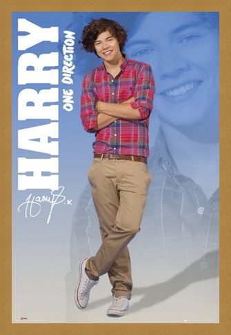 Framed Framed Harry - One Direction