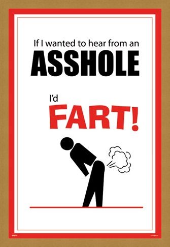 Framed Framed If I Wanted To Hear From An Asshole - I'd Fart