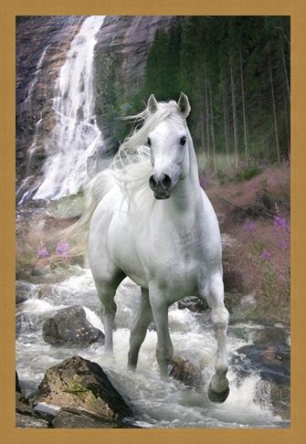 Framed Framed Horse in a Waterfall - Bob Langrish
