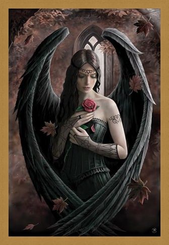 Framed Framed Angel Rose - Anne Stokes
