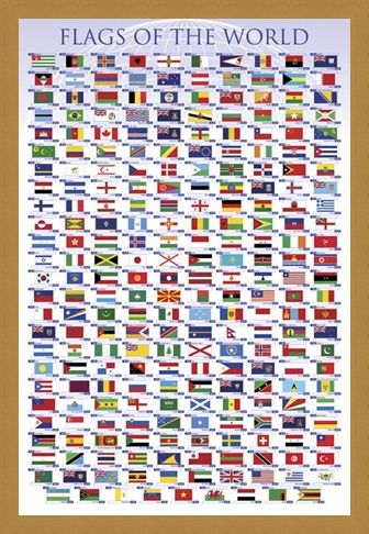 Framed Framed Flags of the World - Educational Chart