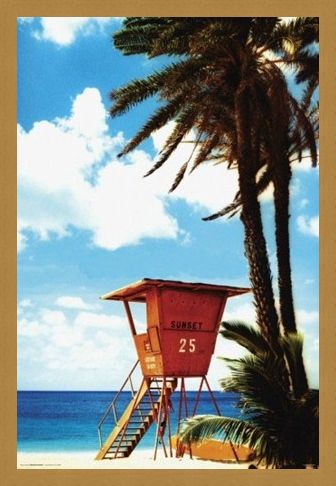 Framed Framed Lifeguard Hut - Paradise