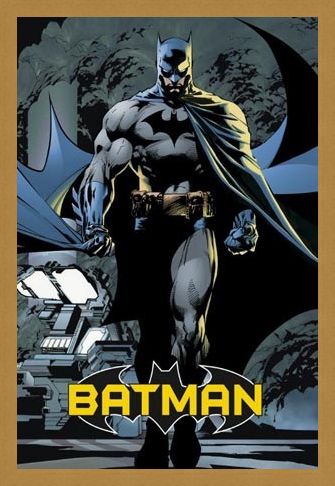 Framed Framed Batman - DC Comics