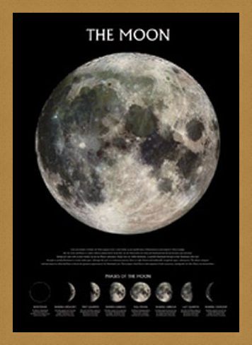 Framed Framed Phases of the Moon - The Moon