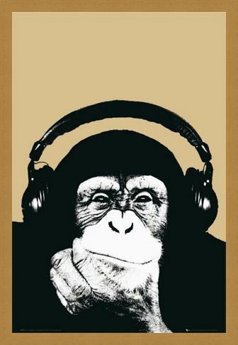 Framed Framed Monkey with Headphones - Steez