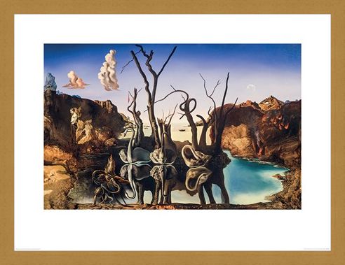 Framed Framed Swans Reflecting Elephants - Salvador Dali