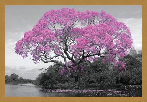 Framed Framed Tree In Bloom - Natural Pink