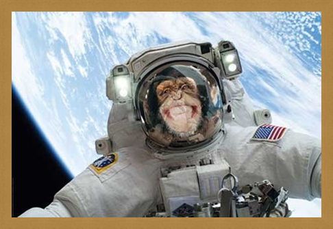 Framed Framed Out Of This World - Cheeky Chimp