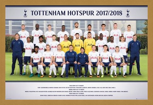 Framed Framed Photo 17-18 - Tottenham Team