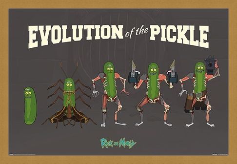 Framed Framed Evolution Of The Pickle - Rick and Morty