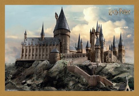 Framed Framed Hogwarts Day - Harry Potter