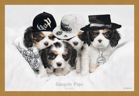 Framed Framed Gangsta Pups - Keith Kimberlin