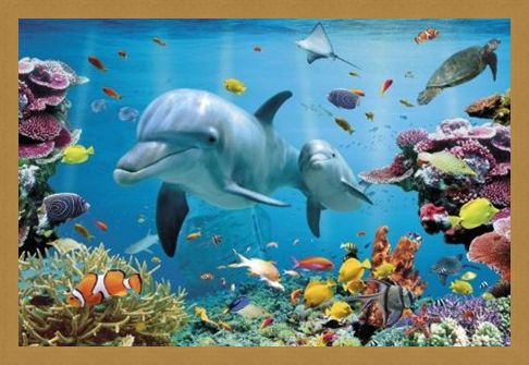 Framed Framed Underwater Dolphin Fantasy - Tropical Dolphins