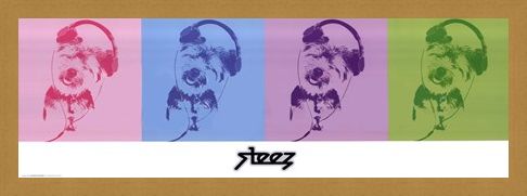 Framed Framed DJ Doggie Quad - Steez
