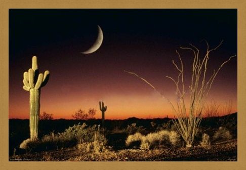 Framed Framed Desert Silhouette - Arizona Landscape