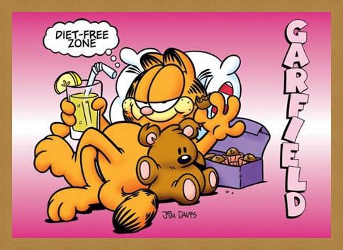 Framed Framed Diet Free Zone - Garfield