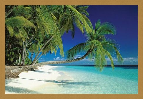 Framed Framed Maldives Beach and Sea - Palm Trees on a Tropical Island Paradise