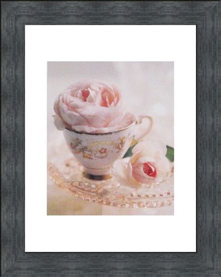 Framed Framed Pale Pink II - Lina Ricci