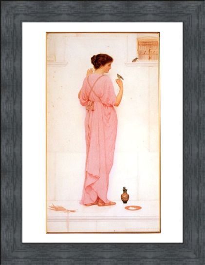 Framed Framed Song Birds - George Lawrence Bulleid