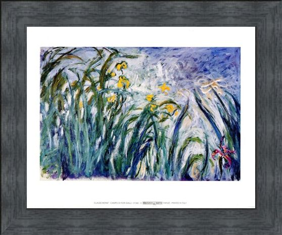 Framed Framed Campo Di Fiori Gialli - Claude Monet