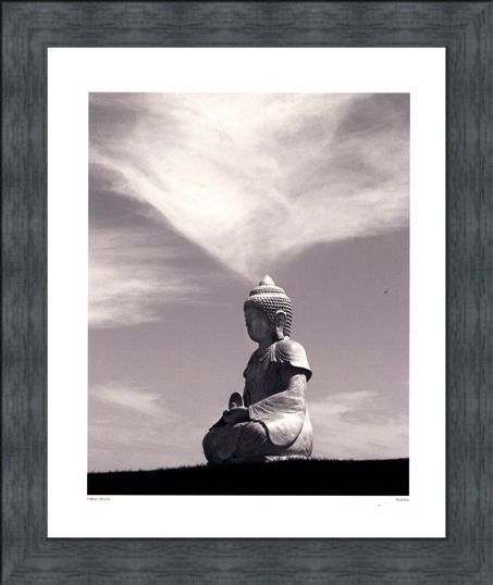 Framed Framed Buddha 2006 - Hakan Strand