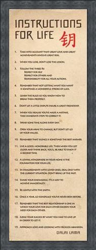 Framed Framed Instructions for Life - According to the Dalai Lama