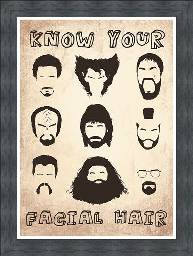 Framed Framed Know Your Facial Hair - Iconic Beards