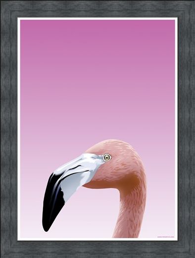 Framed Framed Flamboyant Flamingo - Inquisitive Creatures