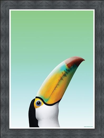 Framed Framed Toucan - Inquisitive Creatures