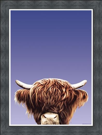 Framed Framed Hairy Highland - Inquisitive Creatures