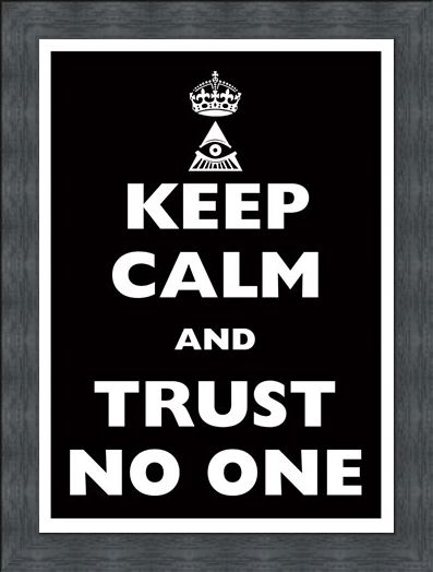Framed Framed Keep Calm & Trust No One - Keep Calm & Carry On