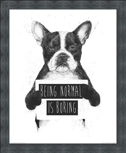 Framed Framed Being Normal Is Boring - Balazs Solti