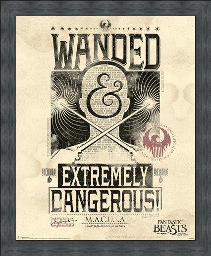 Framed Framed Extremely Dangerous - Fantastic Beasts