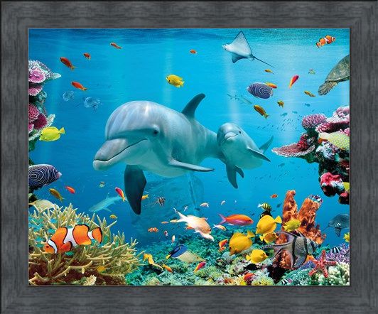 Framed Framed Tropical Ocean - Sea Creatures