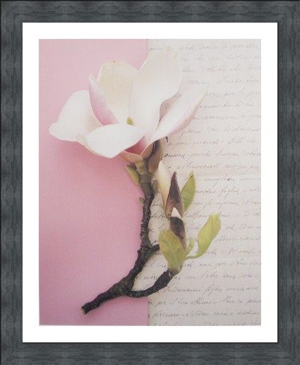 Framed Framed Emma's Garden Magnolia - Deborah Schenck