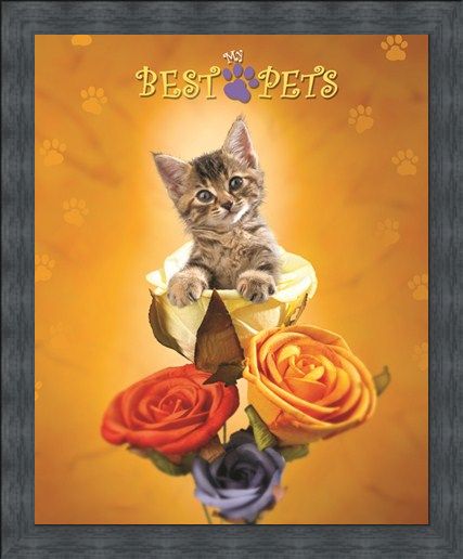 Framed Framed Cat amongst the Roses - My Best Pets