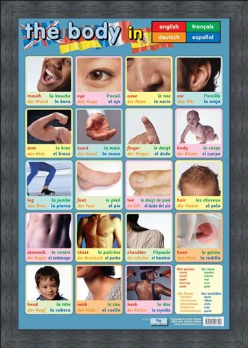 Framed Framed Body Parts - Language Guide