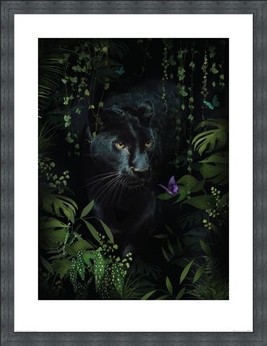 Framed Framed Panther - Summer Thornton