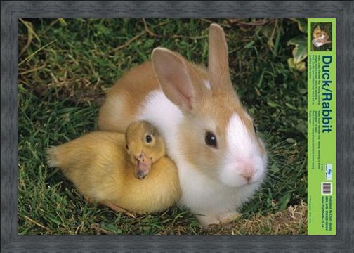 Framed Framed Best Friends - Duck And Rabbit
