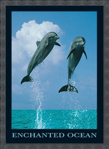Framed Framed Dolphins Jumping - Enchanted Ocean