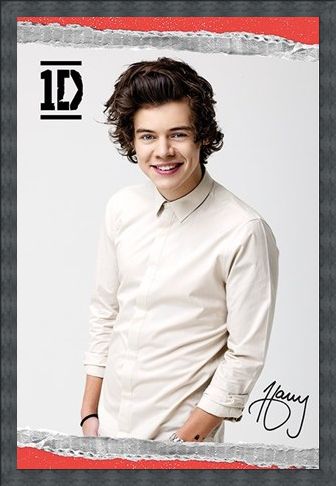 Framed Framed Harry - One Direction