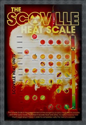 Framed Framed How Hot Can You Handle It? - The Scoville Heat Scale