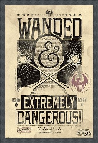 Framed Framed Extremely Dangerous - Fantastic Beasts