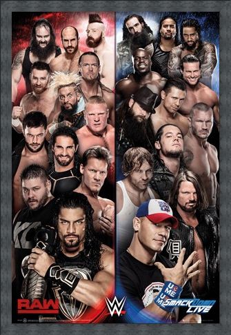 Framed Framed Raw vs Smackdown - WWE