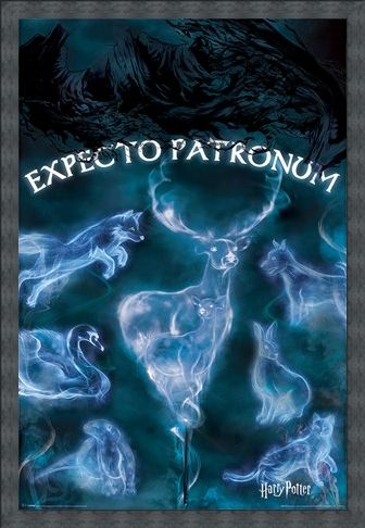 Framed Framed Expecto Patronum - Harry Potter